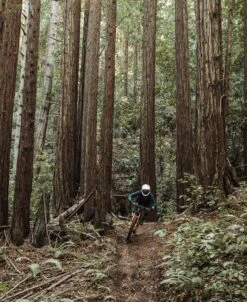 POC Resistance Pro DH Glove 7 POC Resistance Pro DH Glove -POC Shop Resistance Dh Glove Uranium Black 5 470e590b 27e7 4687 b143 eb1c4ffb1d58