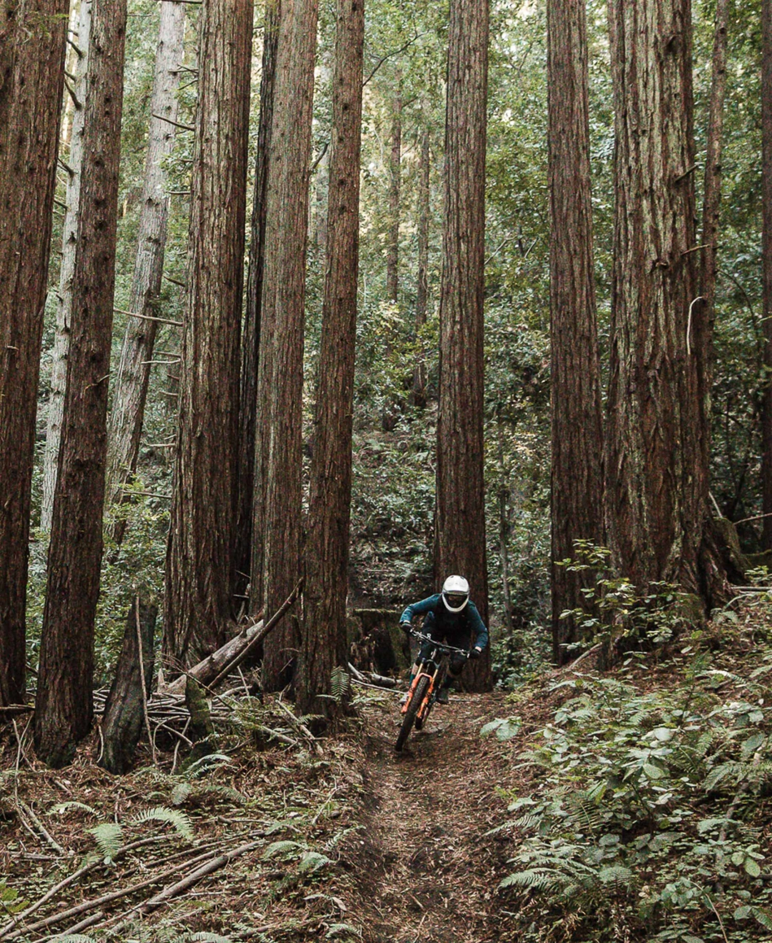 POC Resistance Pro DH Glove 4 POC Resistance Pro DH Glove - Image 4